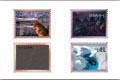 thumbnail of Photoshop Stamp Project