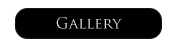 Gallery Navigation Button